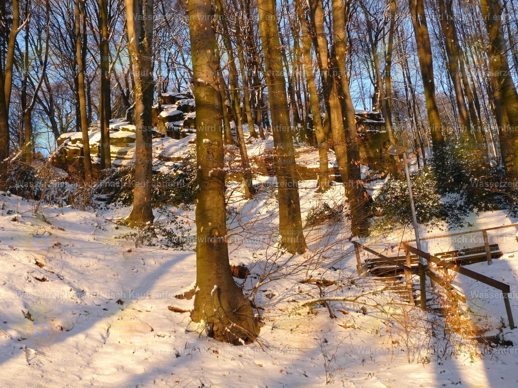 P1000227 | Fotoseite Wolkenblende - Das Hobby fotografieren begleitet mich schon  viele  Jahre. Auf den nächsten Seiten zeige ich ein paar Schnappschüsse der letzten Jahre und es kommen immer neue hinzu. Schau einfach mal rein. - Realisiert mit Pictrs.com