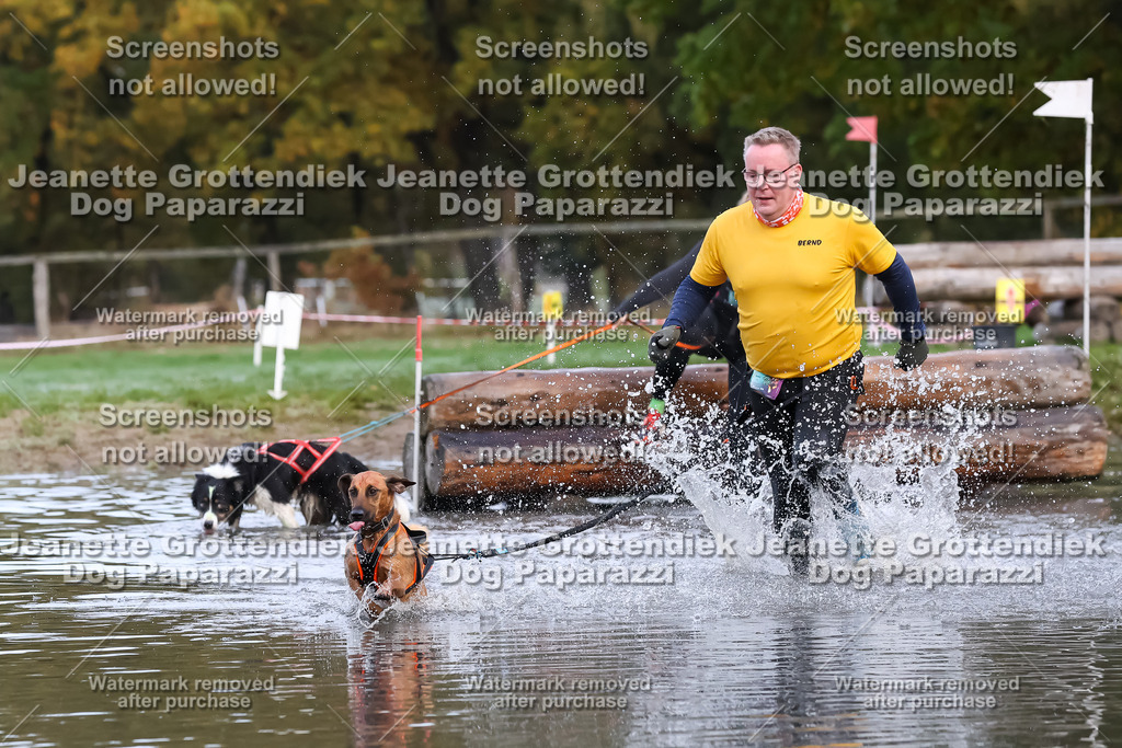 Dog Paparazzi - Strongdog 10-25-6406 | Dog Paparazzi Jeanette Grottendiek Fotografie & Videografie - Realisiert mit Pictrs.com