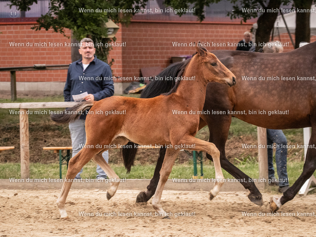A10I6476 | photographylinaismer - Realisiert mit Pictrs.com