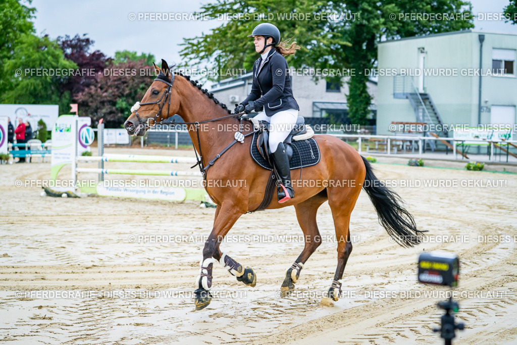 DSC00953 | Pferdegrafie