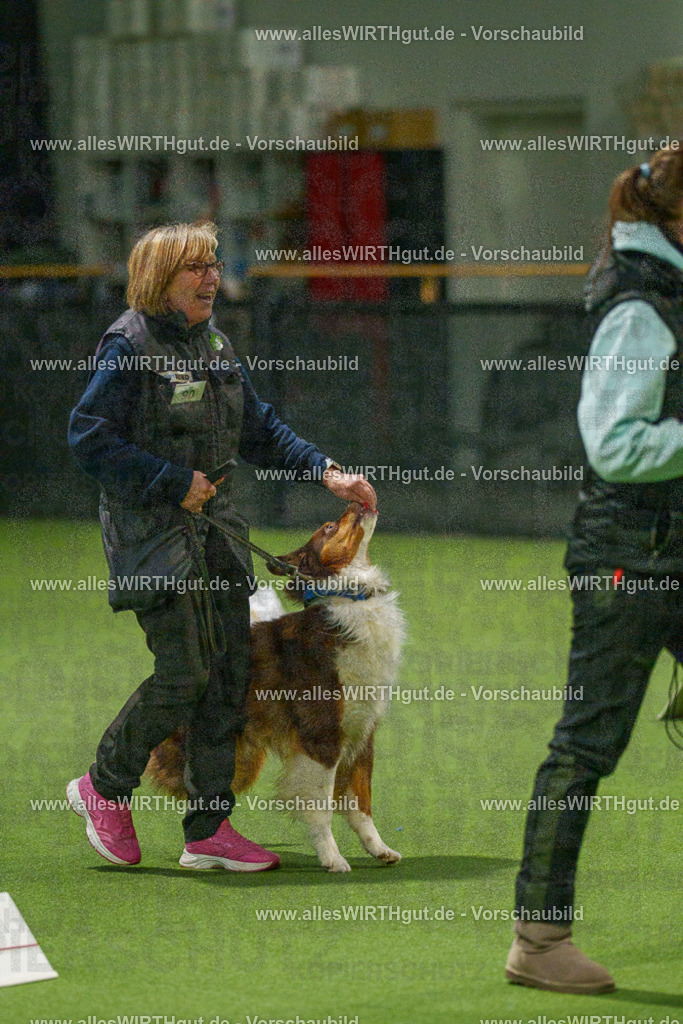 7R508752 | Professionelle Tierfotografie in Mönchengladbach von Daniel Wirth (allesWIRTHgut). Liebevolle & natürliche Bilder von Hunden & Katzen für unvergessliche Erinnerungen.