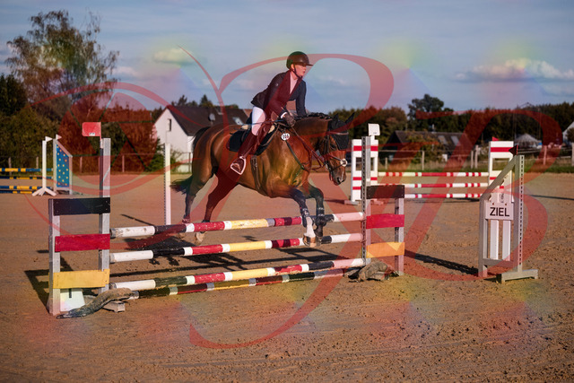 2026_10_03_Siefer-Hof_170837_Z81_05037642 | Professionelle Reitsport-, Turnier- und Eventfotografie von Robert Broda. Galerien mit ausgewählten und bearbeiteten Bildern direkt online ansehen und bestellen.