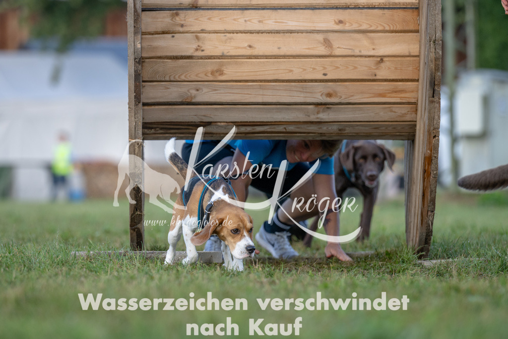 1014_ZZ91946 | kk-dogfotos