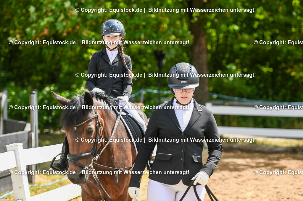 20230716_11_Führzügel-WB_0055 | equistock