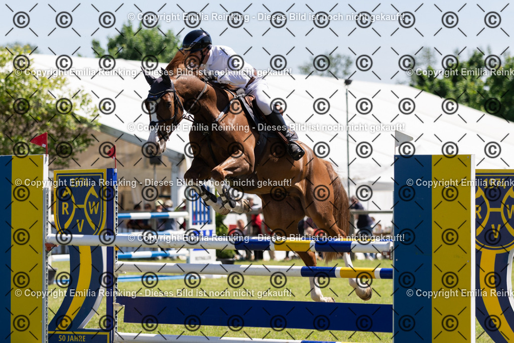 CL5A1160 | Emilia Reinking Fotografie - Realisiert mit Pictrs.com