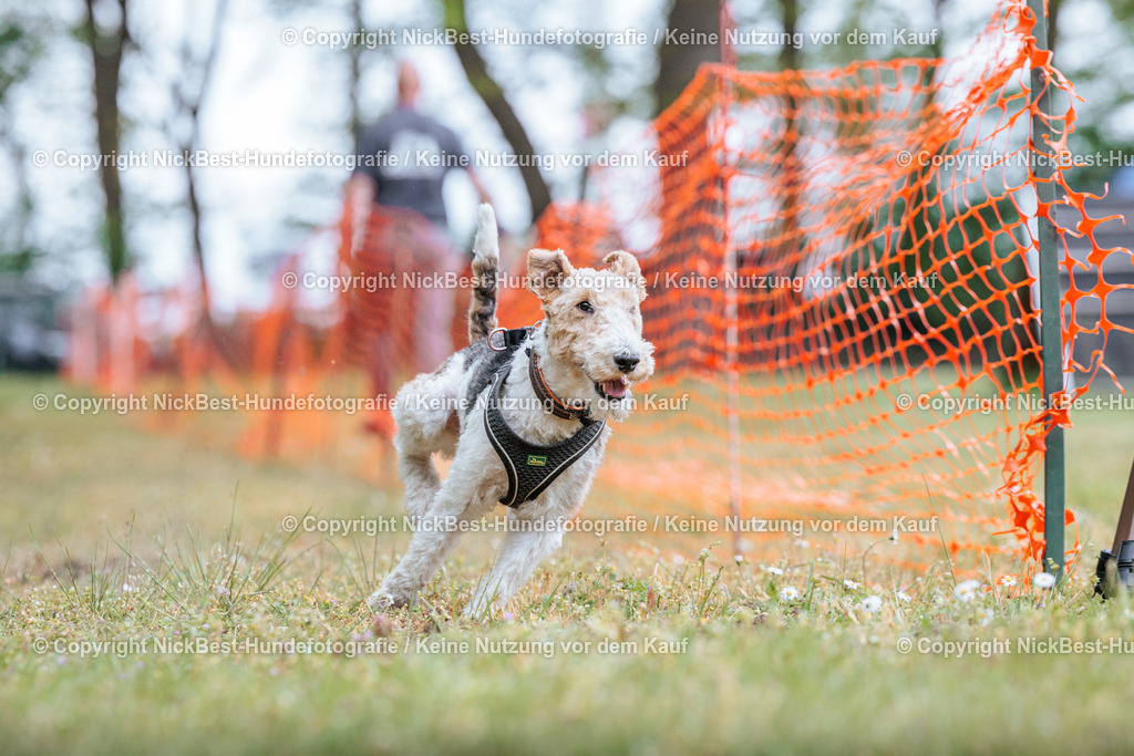 Sage Hunderennen Frühlingsfest-2026-Nickbest-Hundefotografie-0684 | Dein Hund! Dein Moment! Deine Erinnerungen! Hundefotografie in Bremen Blumenthal. Ich fange die besonderen Momente deines Vierbeiners ein – ob Indoor mit Blitzanlage oder in der freien Natur. Sicher dir dein Moment und dein Termin für eure Erinnerungen.