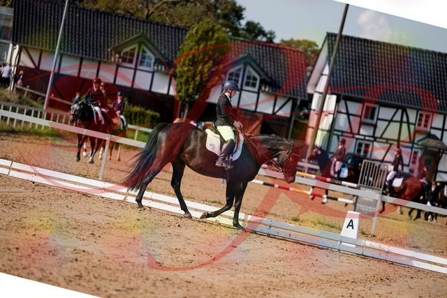 2026_10_03_Siefer-Hof_121634_Z63_40156271 | Professionelle Reitsport-, Turnier- und Eventfotografie von Robert Broda. Galerien mit ausgewählten und bearbeiteten Bildern direkt online ansehen und bestellen.