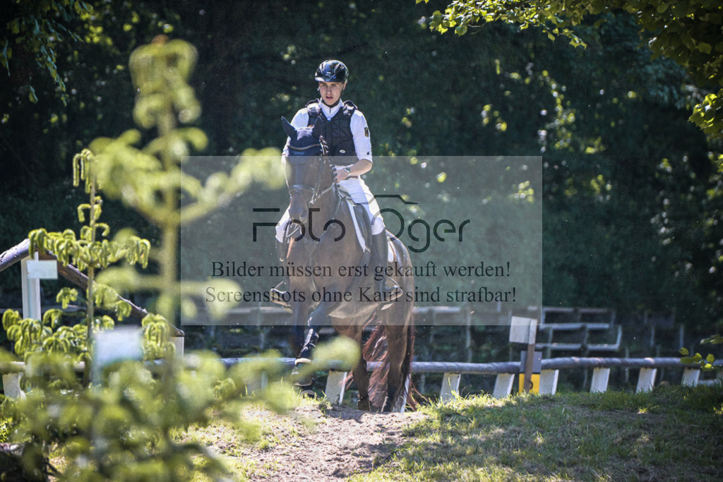 DOS_4762 | Entdecke hochwertige Reitturnierfotos von Foto Oger. Professionell, emotional und authentisch – jetzt Lieblingsmomente im Shop bestellen.Deutschlandweite Turnierfotografie. - Realisiert mit Pictrs.com