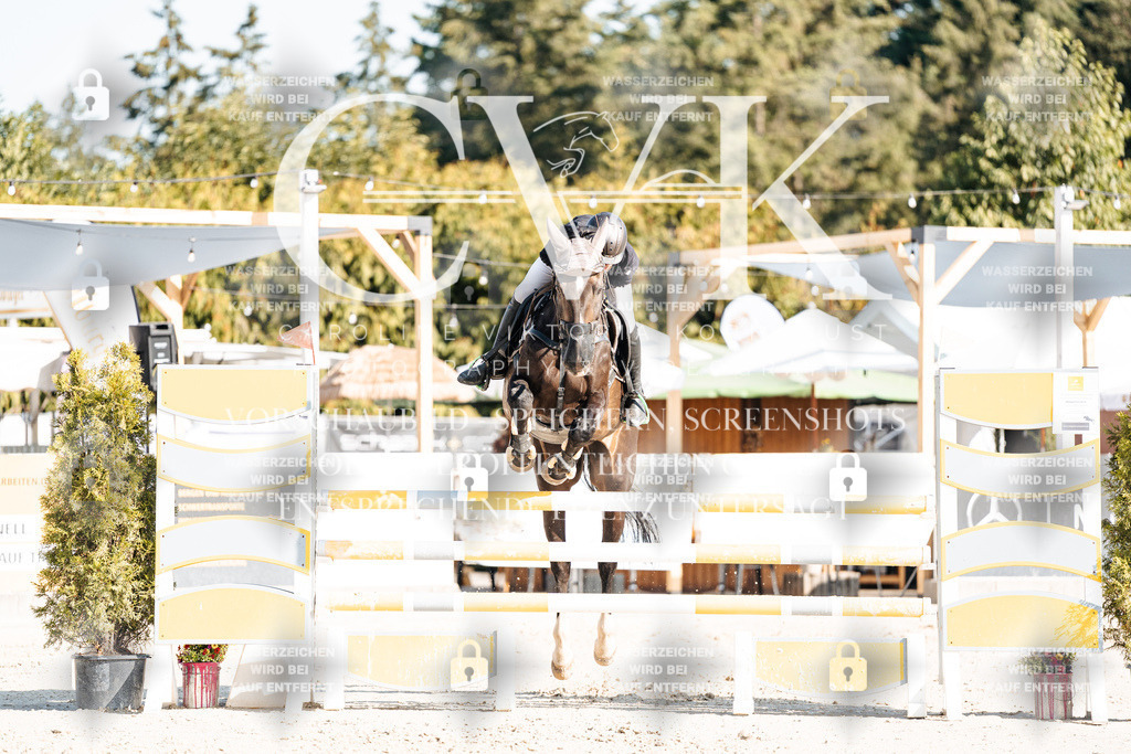 CK901911 | Turnierfotografie Pferdefotografie Trier Rheinland-Pfalz Pferdesport Reitsport Tierfotografie Sportfotografie Pferdevideo Pferdevideografie Equestrianvideography equestrianphotography  - Realisiert mit Pictrs.com