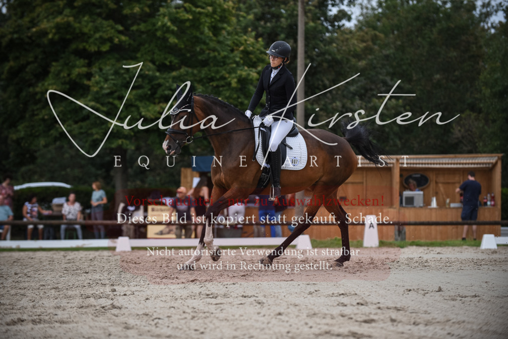 DSC_8559 | Pferde- und Turnierfotografie in Westsachsen. Pferdeportraits, Auftragszeichnungen und intuitive Kunst.