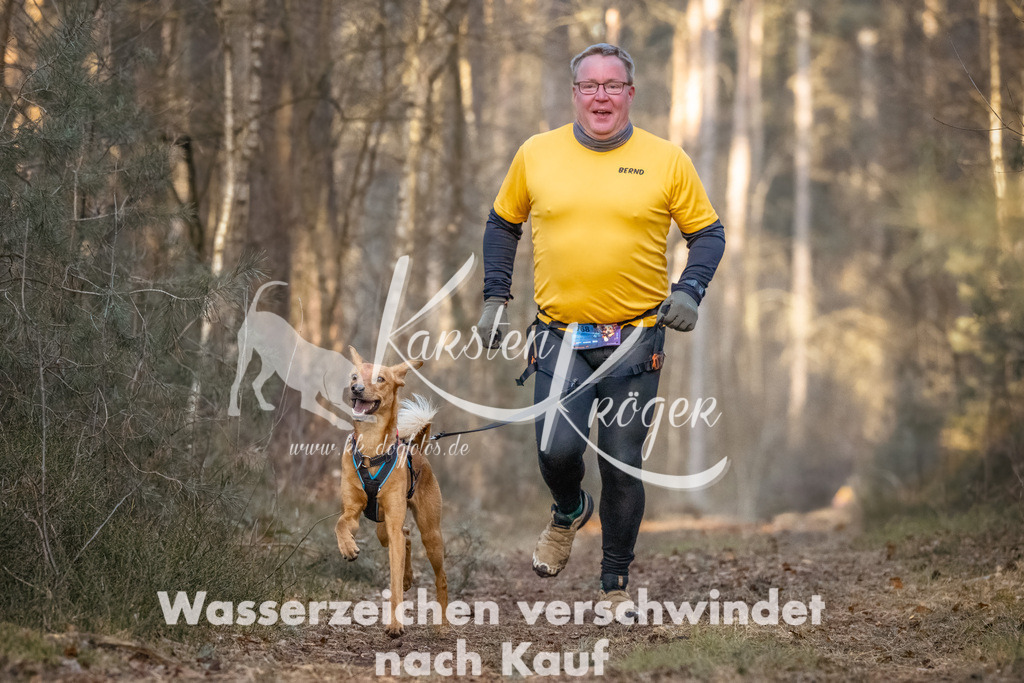 0816_ZZ90211-Bearbeitet | kk-dogfotos