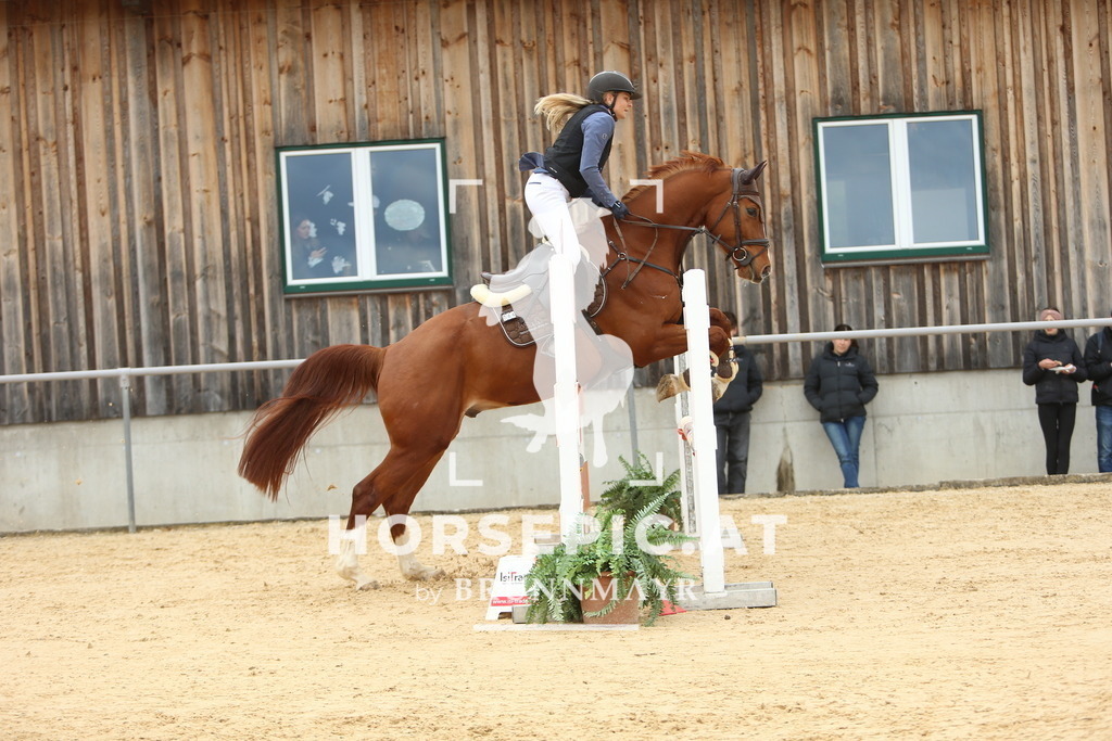 DL2Q1871 | Willkommen bei Brunnmayr - Design & Fotografie – Ihrem Spezialisten für Reitturniere und Pferdeveranstaltungen in Oberösterreich, Salzburg und Bayern! Seit über 17 Jahren sind wir leidenschaftlich dabei.