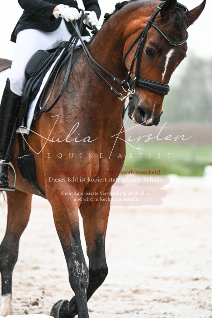 DSC_4564 | Pferde- und Turnierfotografie in Westsachsen. Pferdeportraits, Auftragszeichnungen und intuitive Kunst.