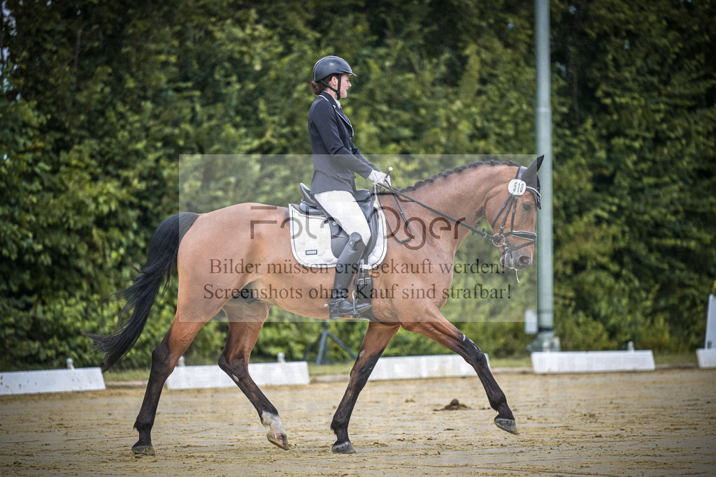 DOS_1098 | Entdecke hochwertige Reitturnierfotos von Foto Oger. Professionell, emotional und authentisch – jetzt Lieblingsmomente im Shop bestellen.Deutschlandweite Turnierfotografie. - Realisiert mit Pictrs.com