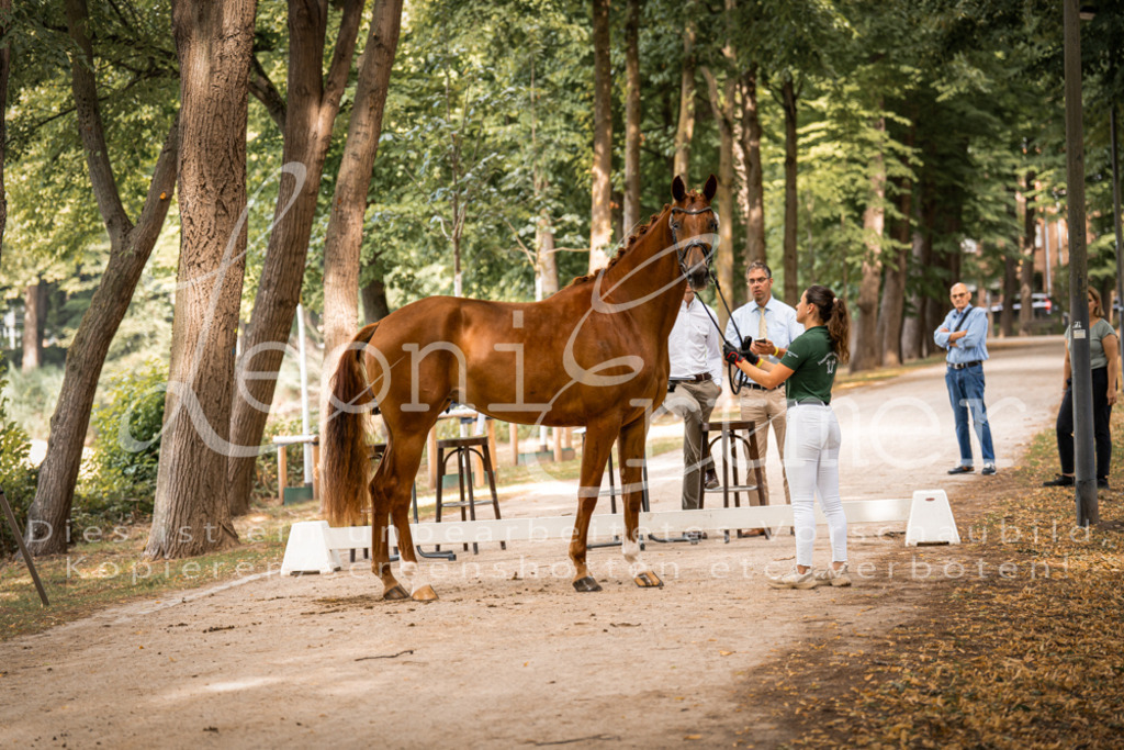 FrPfM00111 | Leoni Ertmer Photography - Realisiert mit Pictrs.com