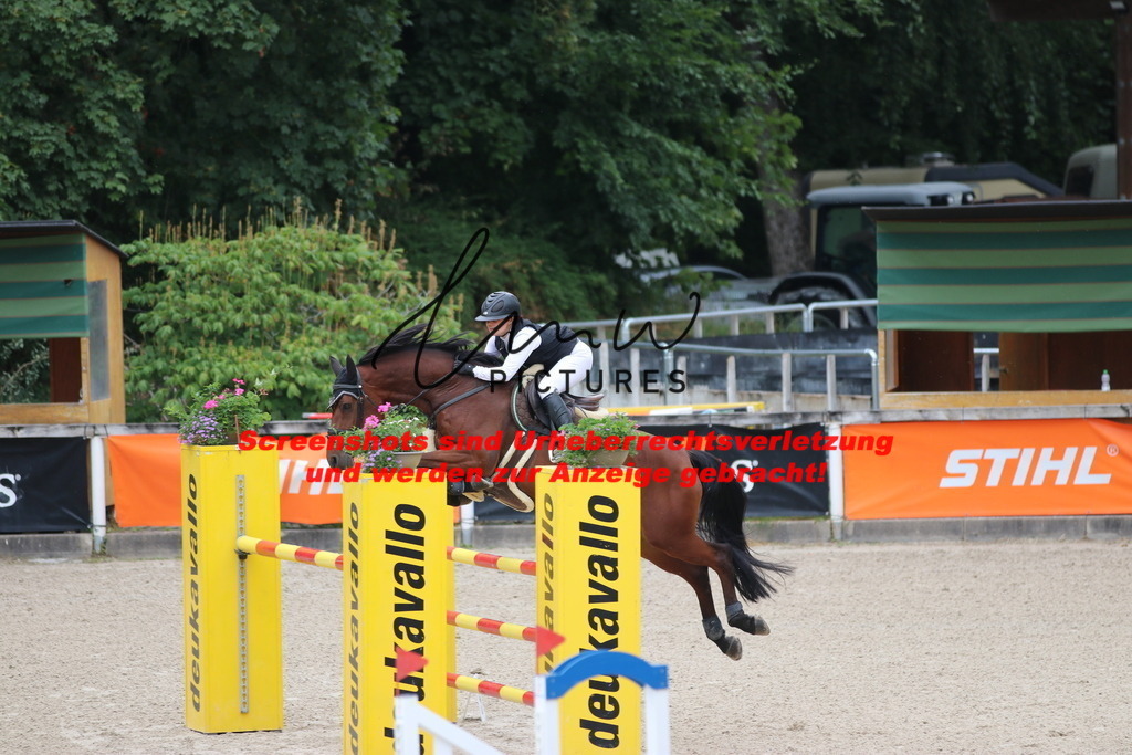 IMG_2546 | lmwpictures - Realisiert mit Pictrs.com