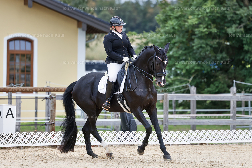 04_1-135-Dressur M__ -StoibPH-StoibPH-2683 | working equitationturnier fotograf videograf stoibphotography marixx film working equitation deutschland reitsport turnierfotografie eventfotografie equestrian events
