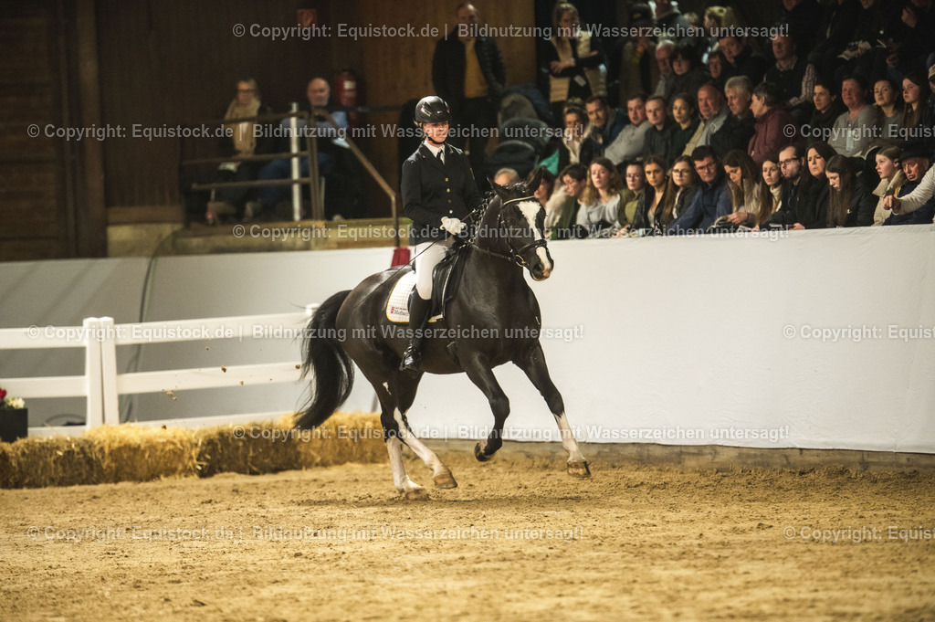 20240302_Hengstvorstellung_Marbach_TOMsPiC_0709 | equistock