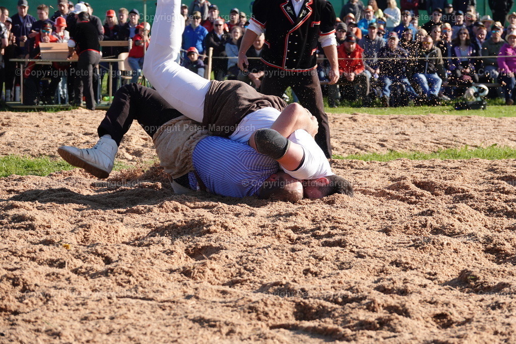 DSC00848 | Schwingen - Realisiert mit Pictrs.com