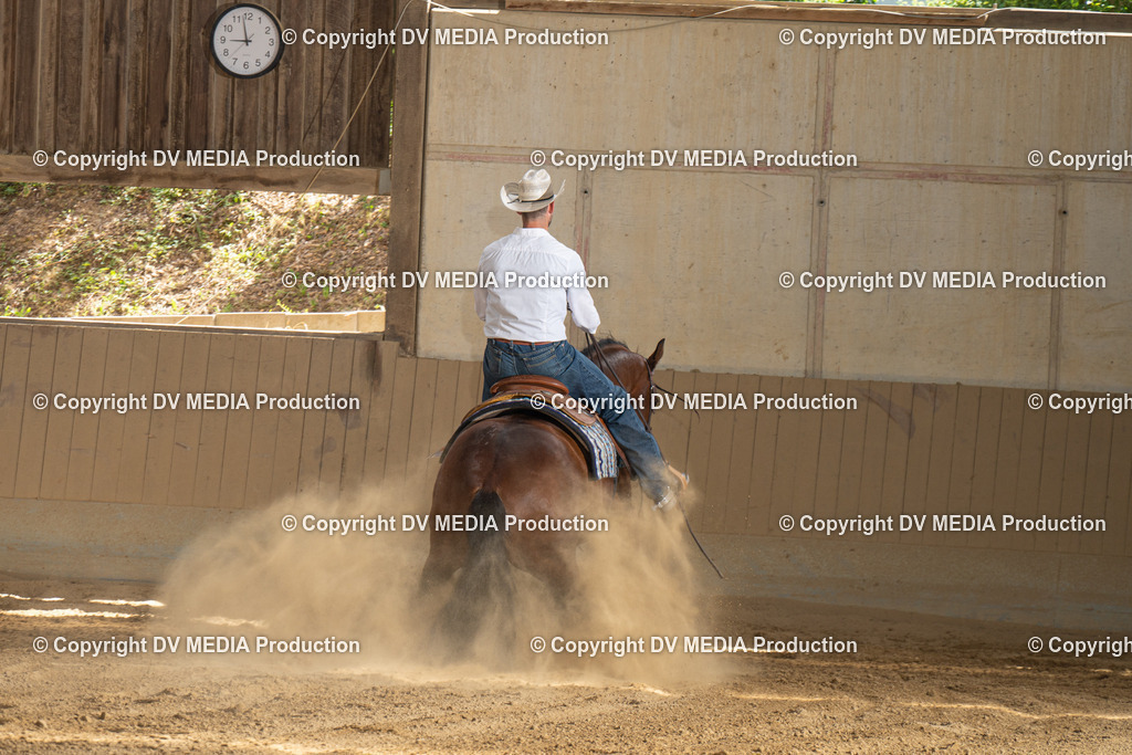 DSC00274 | dv-media-shop - Realisiert mit Pictrs.com