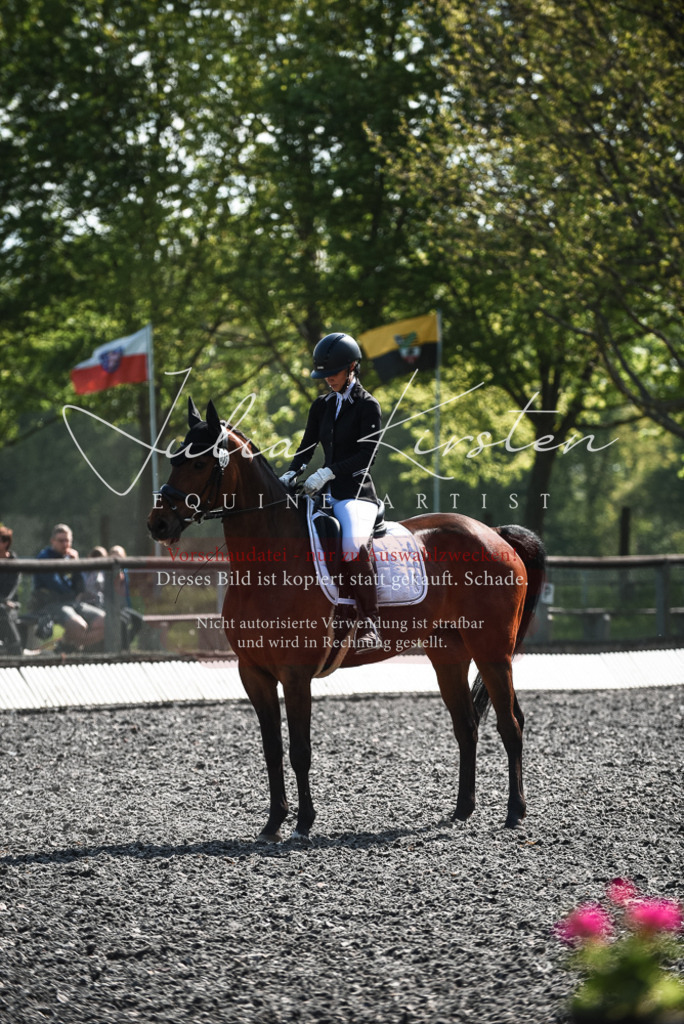 DSC_8913 | Pferde- und Turnierfotografie in Westsachsen. Pferdeportraits, Auftragszeichnungen und intuitive Kunst.
