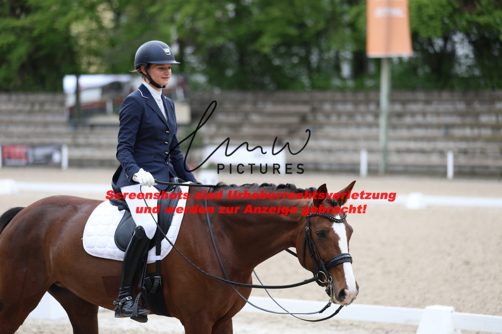 A40A0626 | lmwpictures - Realisiert mit Pictrs.com