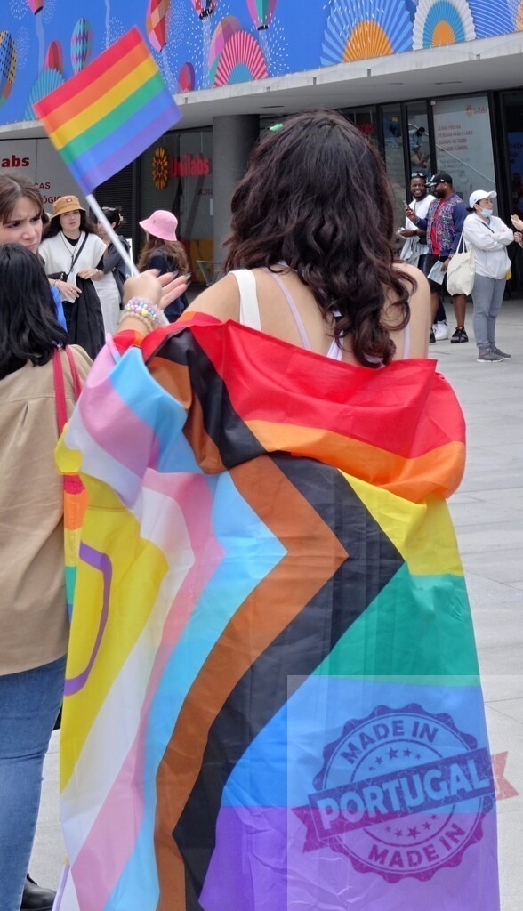 Woman at pride event wearing progress pride flag | Woman standing outdoors with progress pride flag draped over her shoulders and holding small rainbow flag - Realisiert mit Pictrs.com