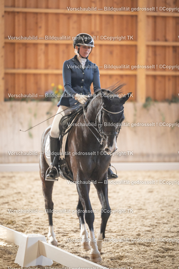 _D5A3041 | Emotionale Pferde- & People-Fotografie rund um Heidelberg, Leimen & Umgebung. Natürliche Fotos von Pferd, Mensch & Familie. Jetzt Termin sichern!