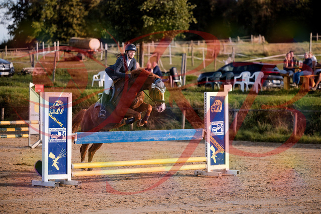 2026_10_03_Siefer-Hof_171252_Z81_10218160 | Professionelle Reitsport-, Turnier- und Eventfotografie von Robert Broda. Galerien mit ausgewählten und bearbeiteten Bildern direkt online ansehen und bestellen.