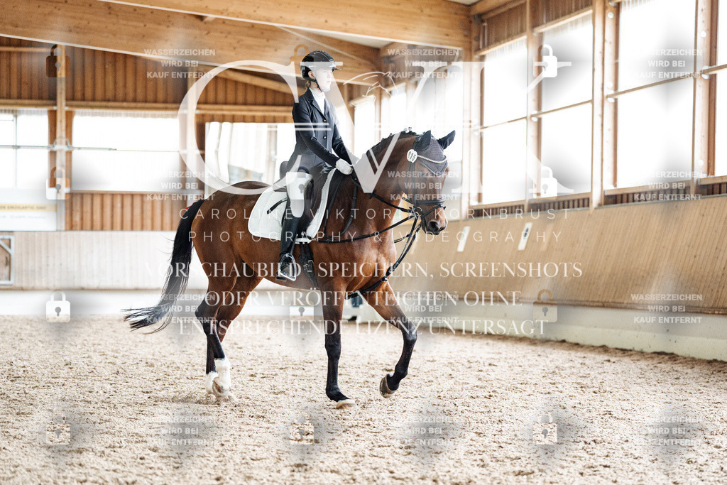 CK900683 | Turnierfotografie Pferdefotografie Trier Rheinland-Pfalz Pferdesport Reitsport Tierfotografie Sportfotografie Pferdevideo Pferdevideografie Equestrianvideography equestrianphotography  - Realisiert mit Pictrs.com