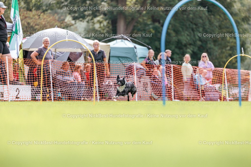 BSP Hoopers-H2-2026-Nickbest-Hundefotografie-TuS Komet Arsten e.V.-6037 | Dein Hund! Dein Moment! Deine Erinnerungen! Hundefotografie in Bremen Blumenthal. Ich fange die besonderen Momente deines Vierbeiners ein – ob Indoor mit Blitzanlage oder in der freien Natur. Sicher dir dein Moment und dein Termin für eure Erinnerungen.