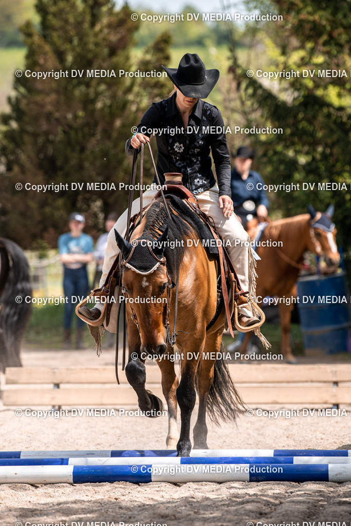 Balingen Tag 4-636 | dv-media-shop - Realisiert mit Pictrs.com