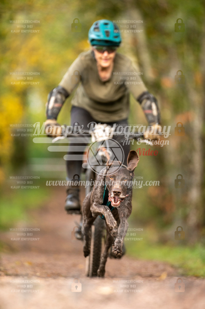 TSB_2023_E4_Bike-32 | PayLife