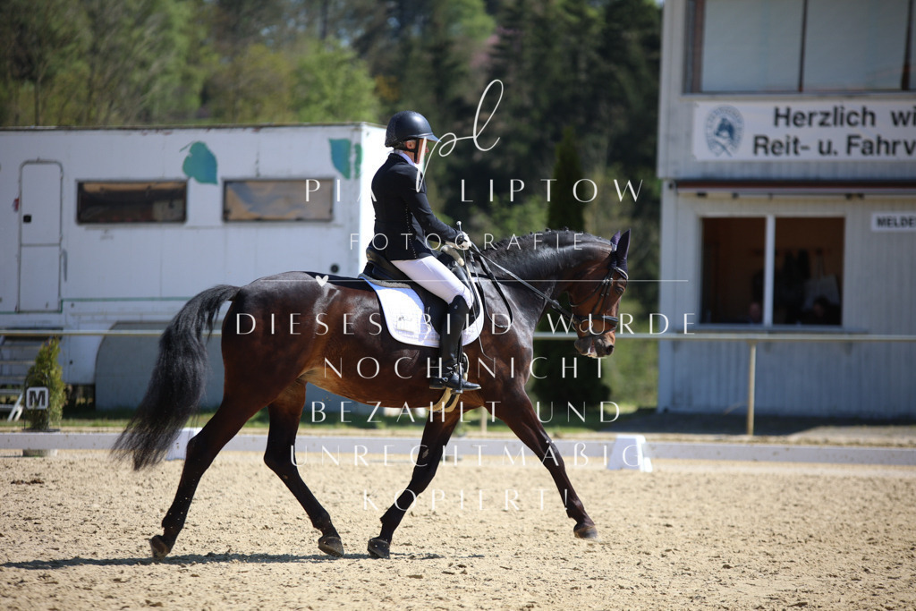 IMGT7444 | pl-fotografie