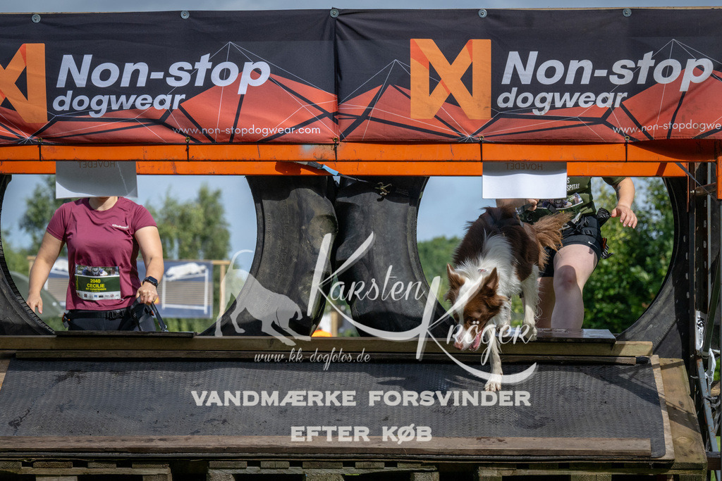 1131_ZZ92349 | kk-dogfotos