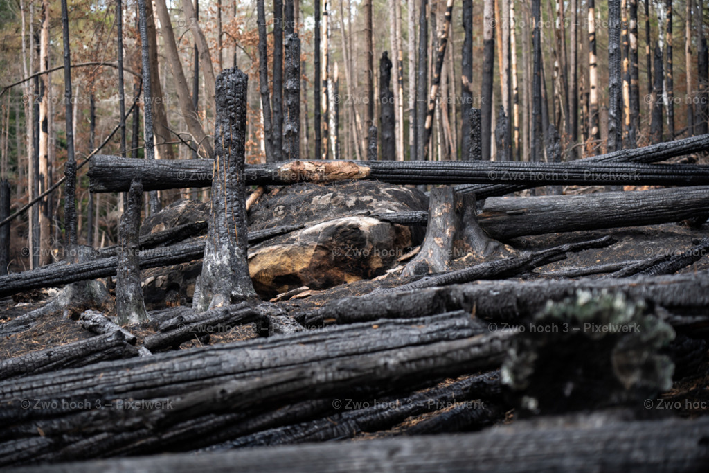 Rosssteig_Nahe_Katzenstein_Waldbrand_Baumstumpf_Stein | 2022-08-30_Waldbrandgebiete_1 - Realisiert mit Pictrs.com