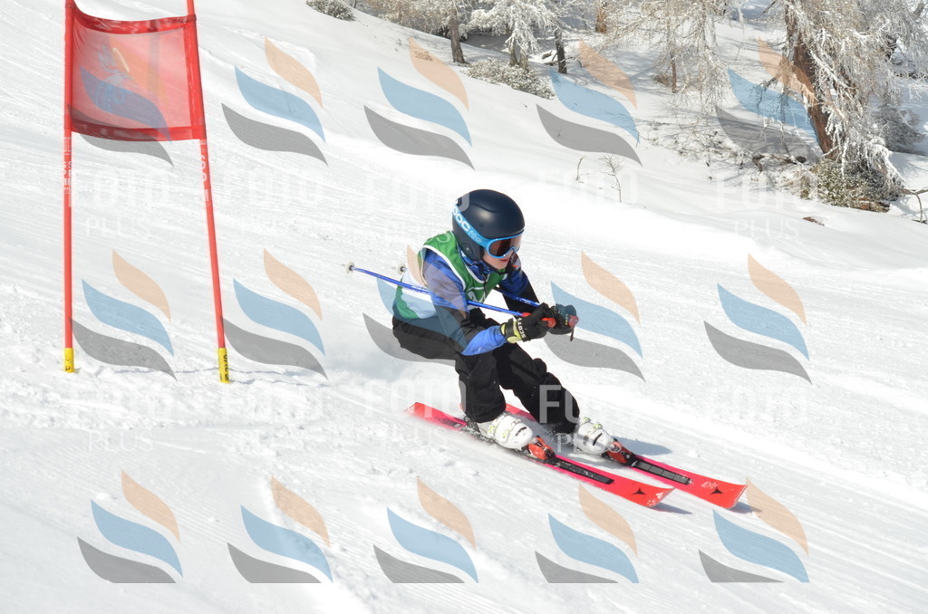 D8770 | holidayphoto