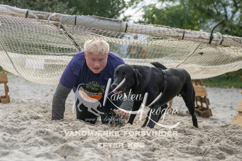 1144_ZZ98912 | kk-dogfotos