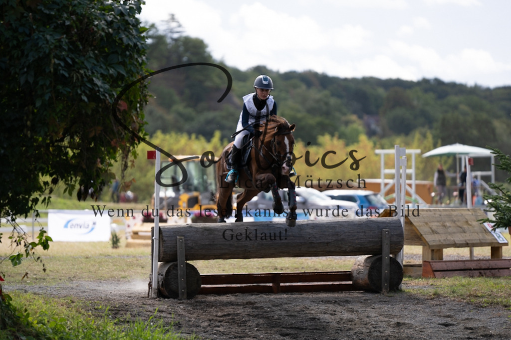 A7V01012 | Pferdefotograf