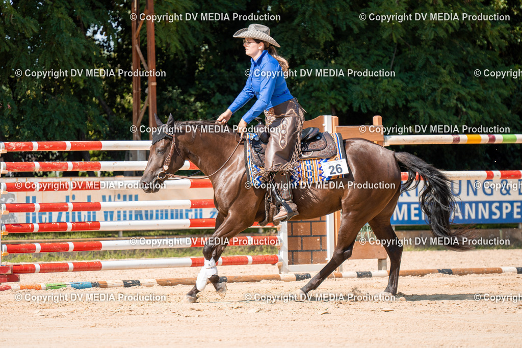 ZH100281 | dv-media-shop - Realisiert mit Pictrs.com