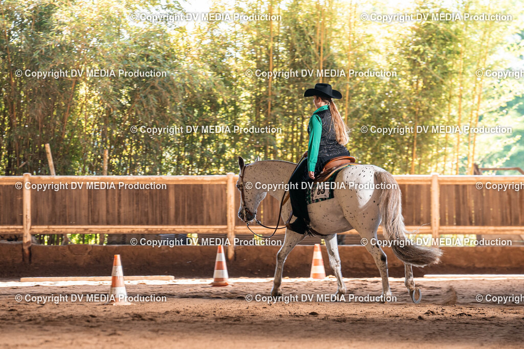 Erbach Tag 3-353 | dv-media-shop - Realisiert mit Pictrs.com