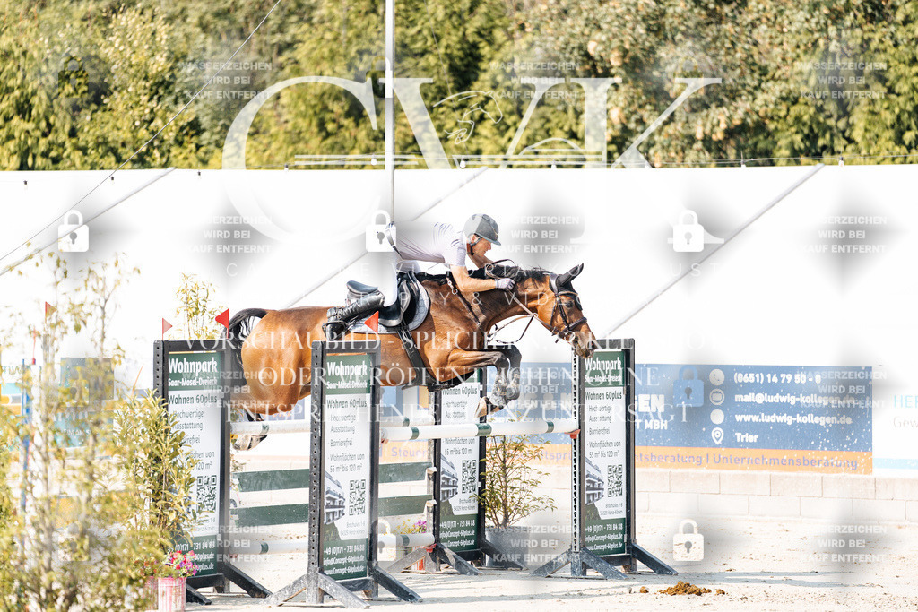 CK902507 | Turnierfotografie Pferdefotografie Trier Rheinland-Pfalz Pferdesport Reitsport Tierfotografie Sportfotografie Pferdevideo Pferdevideografie Equestrianvideography equestrianphotography  - Realisiert mit Pictrs.com