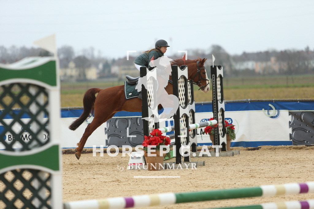 DL2Q1236 | Willkommen bei Brunnmayr - Design & Fotografie – Ihrem Spezialisten für Reitturniere und Pferdeveranstaltungen in Oberösterreich, Salzburg und Bayern! Seit über 17 Jahren sind wir leidenschaftlich dabei.