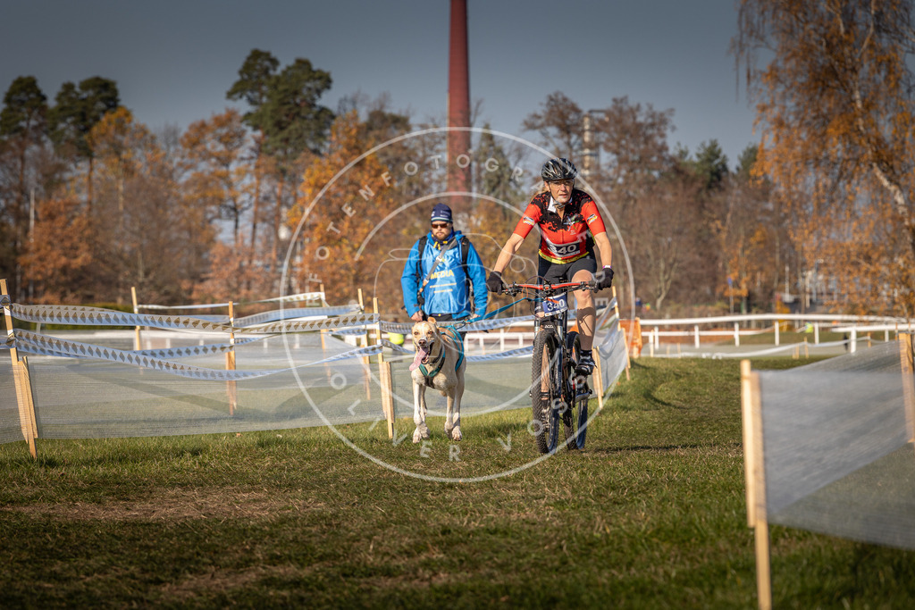 CaniXpix_0L8A7927 | Hundefotografie, Tierfotograf, Pfotenfotografie, Fotoshooting Hund, Hunde Portrait, Hundesport, Hundeportraits, Heideshooting, Hunde, Sportfotograf, Hundefotograf, Turnierhundsport, THS,  - Realisiert mit Pictrs.com