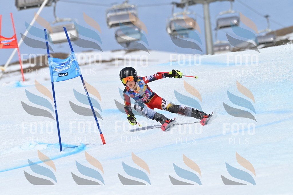 BGV_1539 | holidayphoto