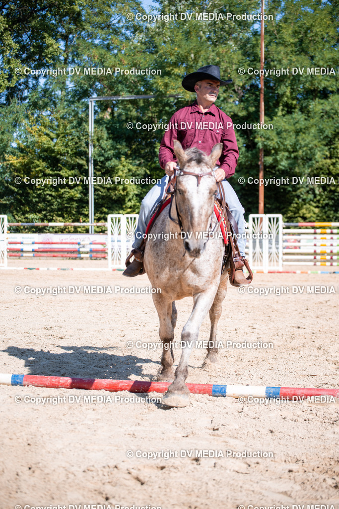 ZS1_0842 | dv-media-shop - Realisiert mit Pictrs.com