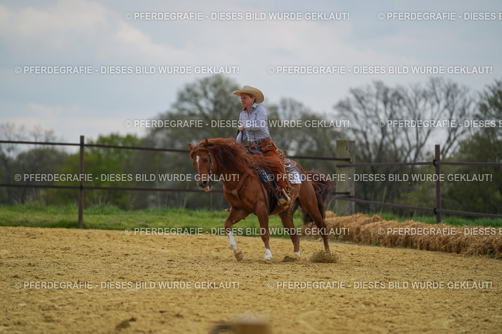 DSC07789 | Pferdegrafie