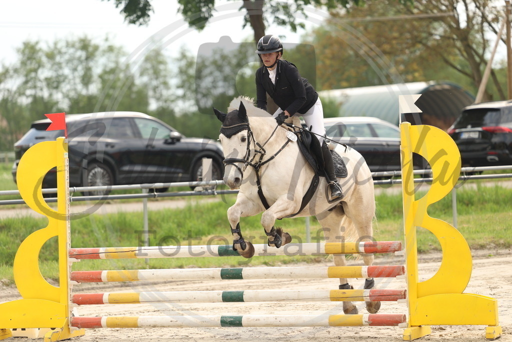 994A8133 | sabrinanicolaifotografie - Realisiert mit Pictrs.com