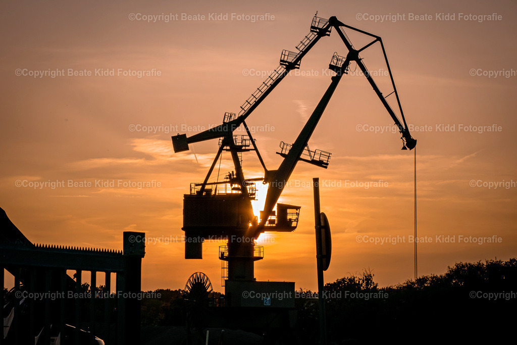 P1750386 | beatekidd-fotografie - Realisiert mit Pictrs.com