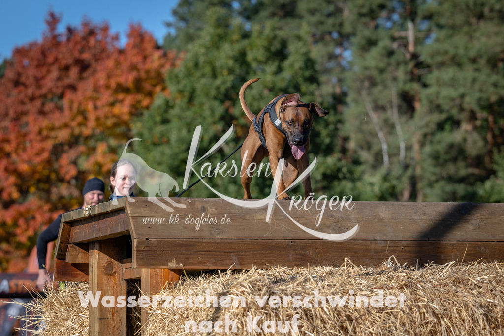 1117_ZZ93057 | kk-dogfotos